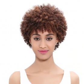 Perruque Afro Courte  100% Cheveux Humains