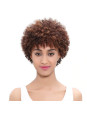 Perruque Afro Courte  100% Cheveux Humains