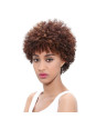 Perruque Afro Courte 100% Cheveux Humains