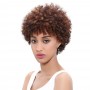 Perruque Afro Courte  100% Cheveux Humains
