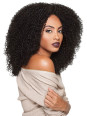 BBH Lace Wig 3C-Whirly